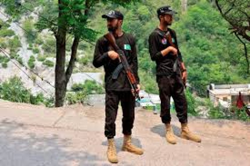 Pakistan says shot down 25 drones, India says it pushed back Pakistani retaliation