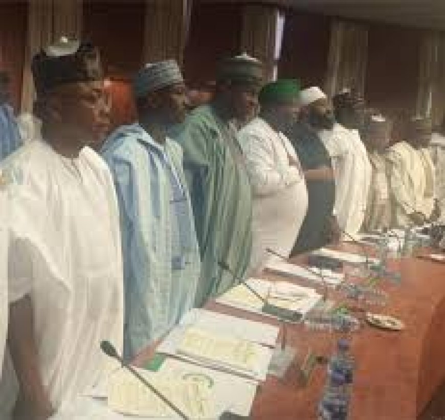 Northern Govs Back Creation Of State Police