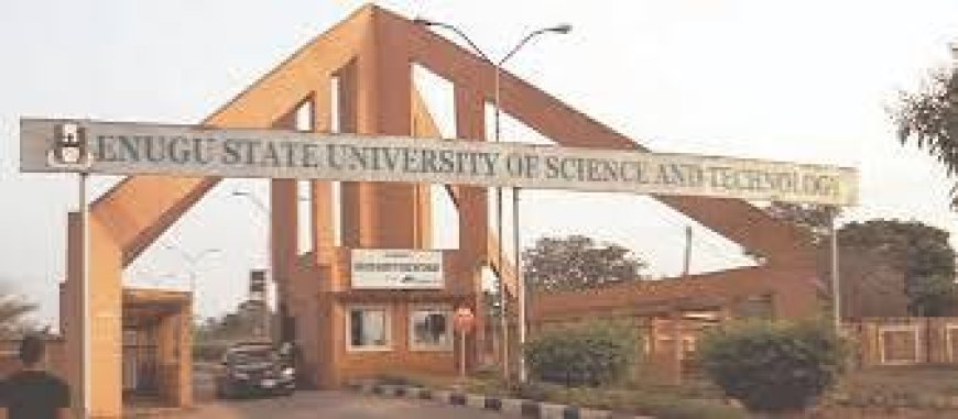 ESUT’s Growth Paradox: Unpacking The Obstacles