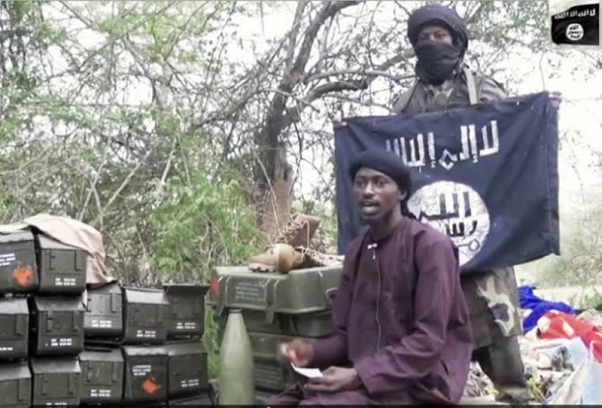 How Boko Haram Killed Officer, 7 Soldiers In Borno With Drones------ Sources