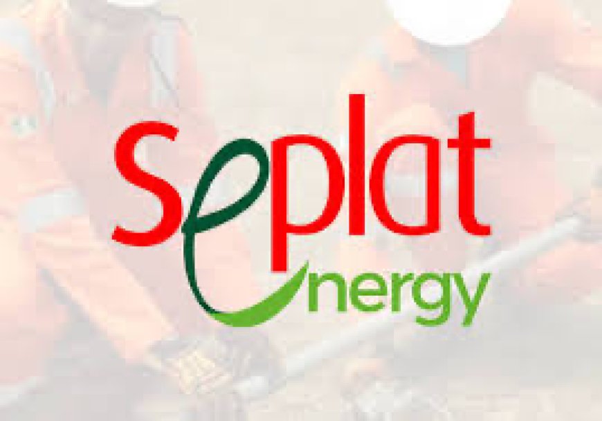 Seplat Energy’s 2024 Performance Surpasses Board’s Expectations, Says Chairman, Udo Udoma