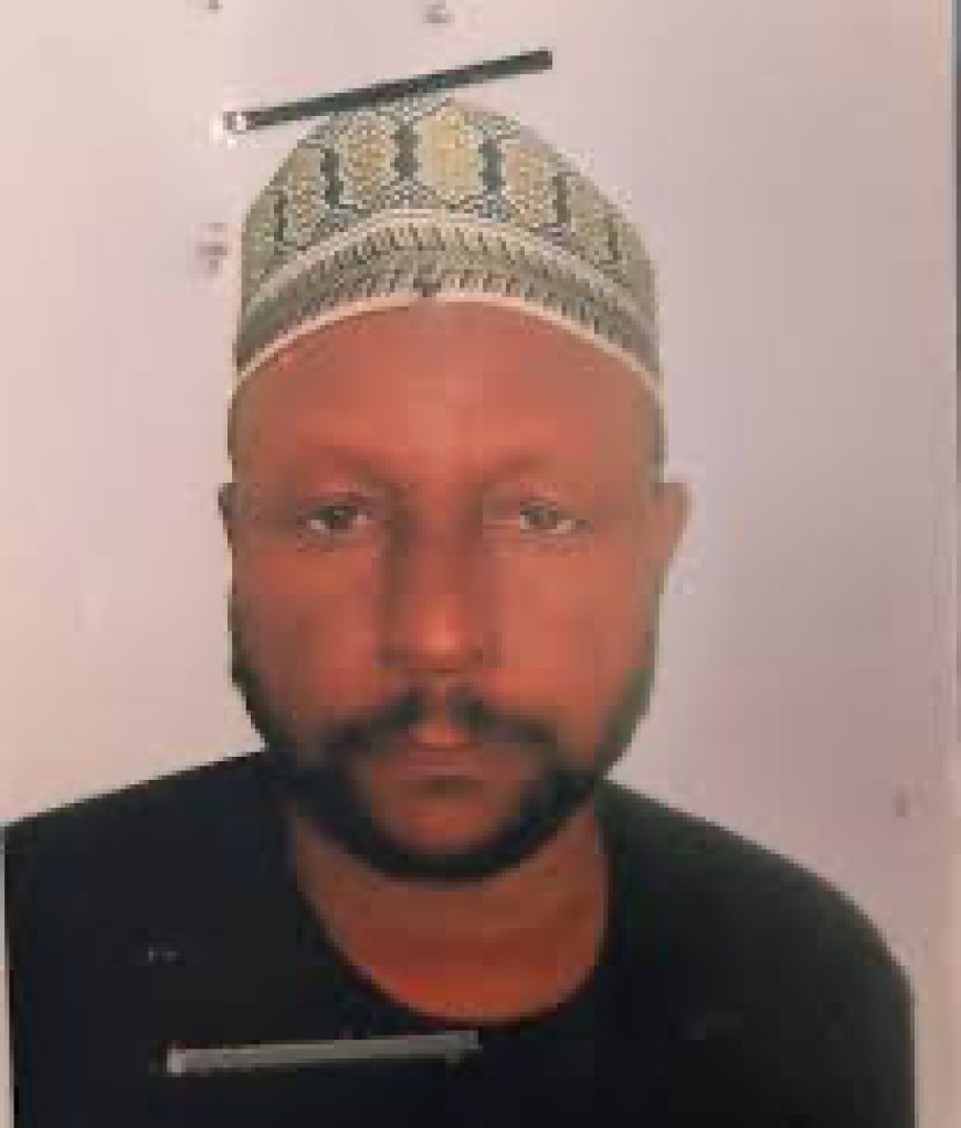Court Jails Company CEO for 21 years Over N33.5m Fraud in Maiduguri