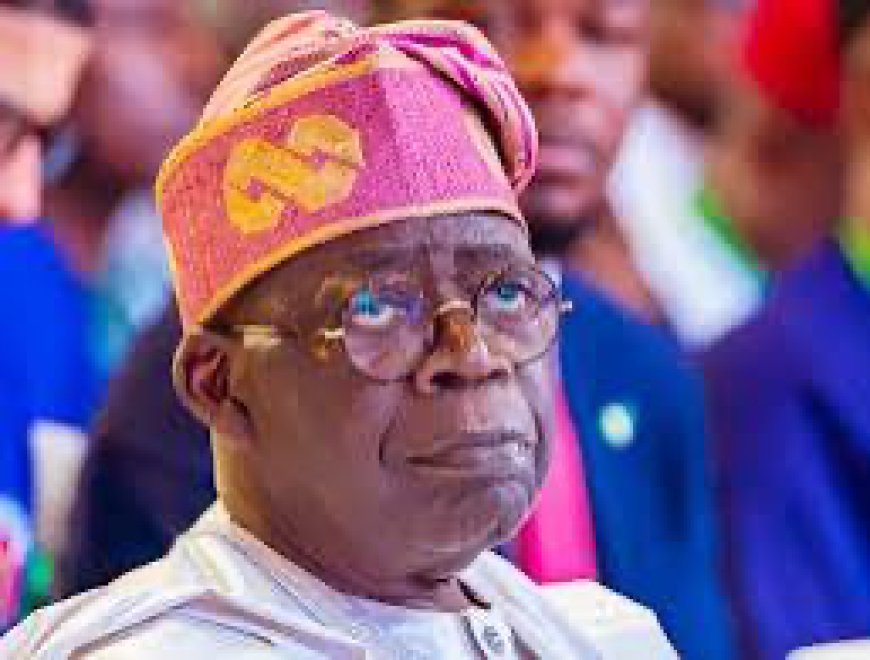 Panic grips Tinubu as U.S. law firm prepares massive mandamus for Chicago university to revoke Nigerian president’s only certificate