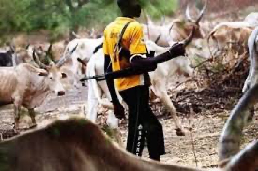 Armed Herders Kill Over 42 Residents In Fresh Attack On Benue Communities