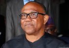 PDP Begs Peter Obi, Others To Return To Party