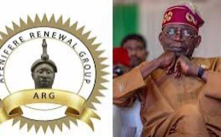 Afenifere vs Tinubu