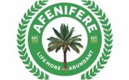 2027 Not For Failures Like You, Afenifere Tells Tinubu