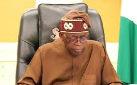 Tinubu Chants Tiresome Borrowing Tune ------- Punch Editorial