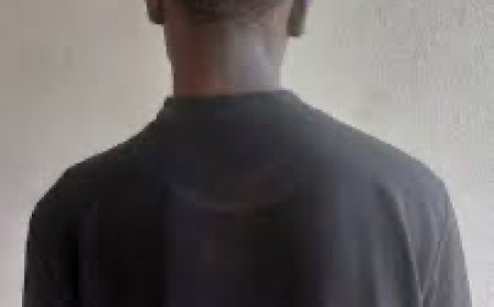 Suspected Employment Fraudster Hands Over Self to EFCC