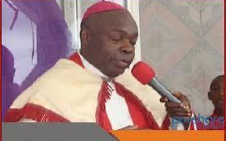 Catholic Bishops Lampoon, Benue, FG Over Benue Killings