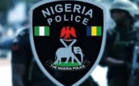 Herdsmen killings: Why we summoned Enugu LG chairman, Ezugwu---- Police