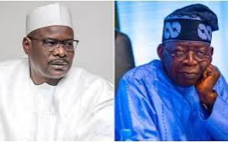 Senator Ndume Sympathises With Tinubu, Says 22 PDP Govs Endorsed Jonathan, Yet He Lost Re- election