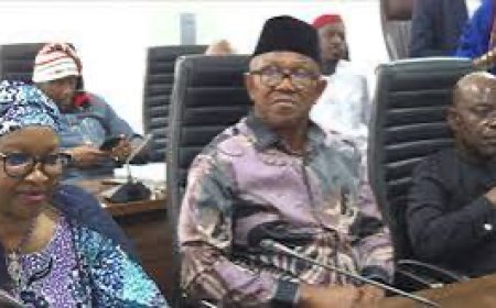 Obi, Otti, and Nenadi lead Obidient Movement Rebirth in Abuja.