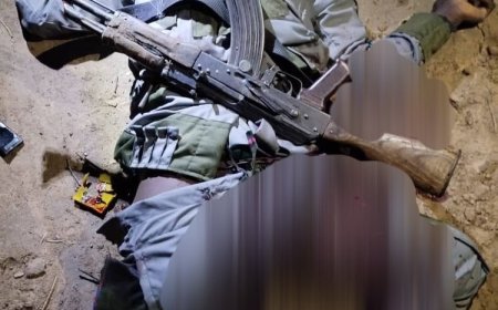 Troops Kill Two Boko Haram/ ISWAP Commanders In Borno, Several Others, Residents