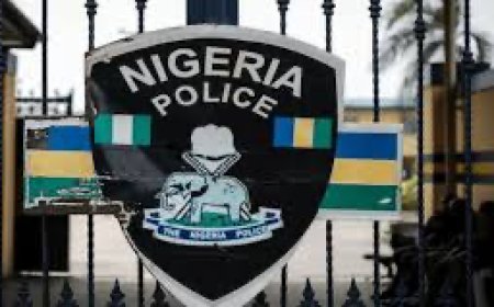 Missing' of 8 Fulani Herdsmen In Enugu Community : Lagos Lawyer, Frank Agbedo Lampoon's Police Over Murder Allegations Against LG Boss