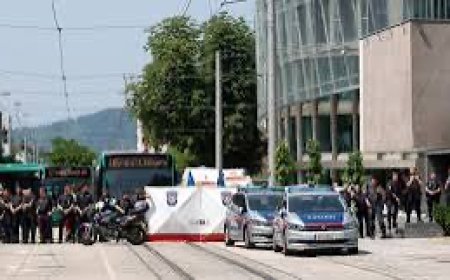 Gunman kills at least nine in attack on Austrian secondary school