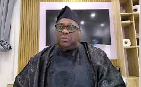 PDP Chieftain Dele Momodu Says Nigeria Sliding Back Into Civilian Dictatorship