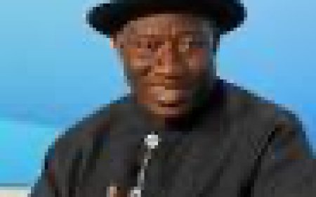 Jonathan urges African leaders to prioritise policies that promote lending to farmers