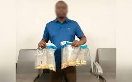 NDLEA Arrests Man With 53 Wraps Of Cocaine In Port Harcourt