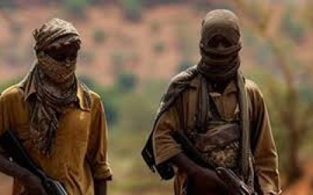Lakurawa terrorists slit children’s necks like animals in fresh Benue attacks