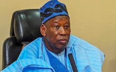 Angry Delegates Disrupt APC North-East Summit Over Non -endorsement Of Shettima For 2027