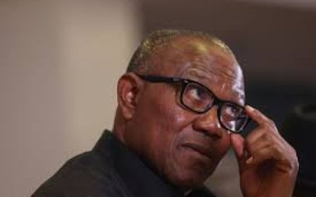 Peter Obi blames leadership failure for Benue killings
