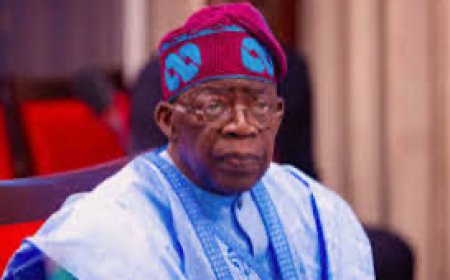 Benue Killings: President Tinubu's Response Falls Dangerously Short --- Prof Bolaji Akinyemi