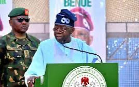 Refer Benue killings to ICC, SERAP tells Tinubu