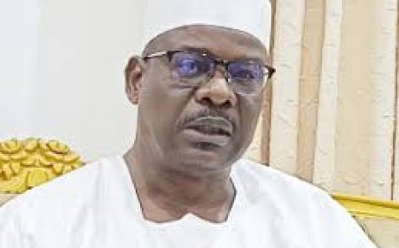 Former Senate Chief Whip, Ali Ndume Says He May Dump APC