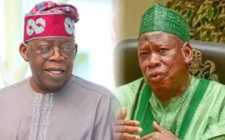 How Tinubu Ensured APC Chairman, Ganduje's Resignation