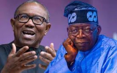 Obi to Tinubu, 'This is not the Time for Holidaying, ' there are problems to tackle at Home