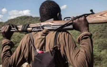 Suspected Herdsmen Kill Three Policemen, Seize Service Rifles In Guma