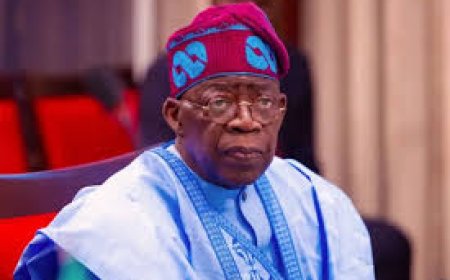 Trust In Tinubu’s Govt Low ---- Survey