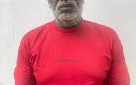 Court Jails Man Seven Years for N11.4m Land Fraud in Enugu