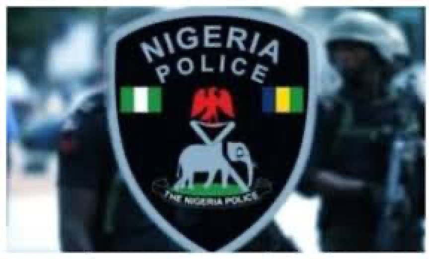 PSC Set To Recruit 30,000 Police Constables, Other Cadets, As It Meets Data Protection Commission
