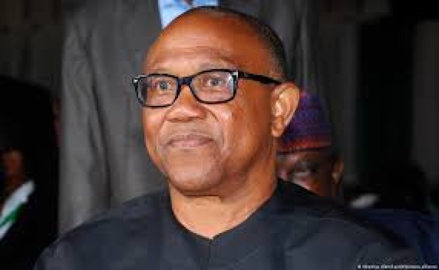 PDP Begs Peter Obi, Others To Return To Party