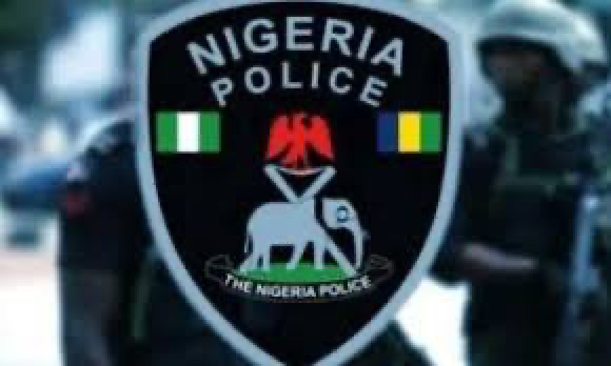 Herdsmen killings: Why we summoned Enugu LG chairman, Ezugwu---- Police