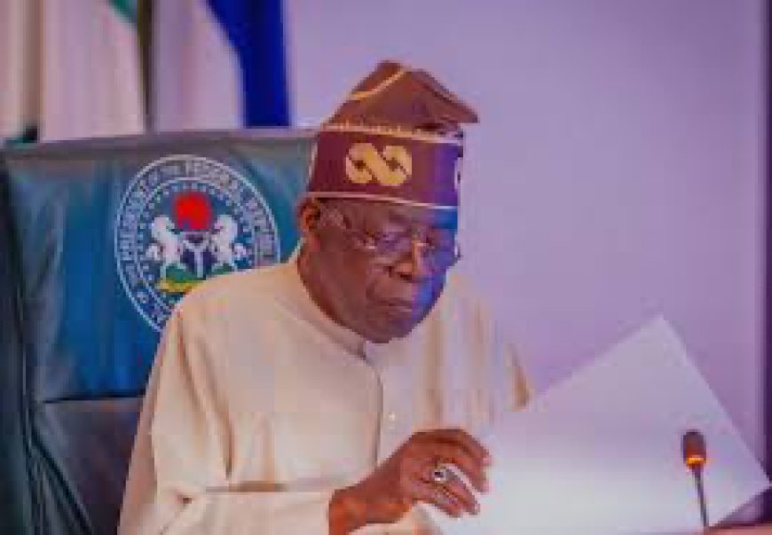 2027 poll: Reconsider your appointment of alleged APC members as INEC RECs, SERAP tells Tinubu