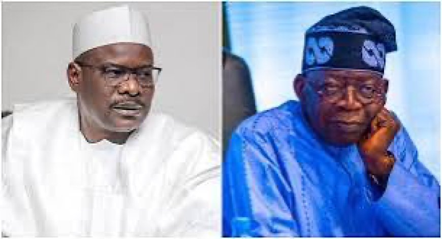 Senator Ndume Sympathises With Tinubu, Says 22 PDP Govs Endorsed Jonathan, Yet He Lost Re- election