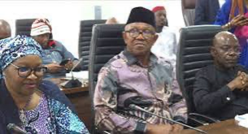 Obi, Otti, and Nenadi lead Obidient Movement Rebirth in Abuja.