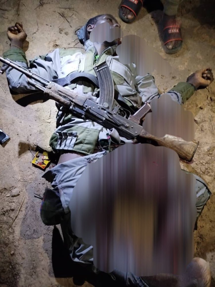 Troops Kill Two Boko Haram/ ISWAP Commanders In Borno, Several Others, Residents