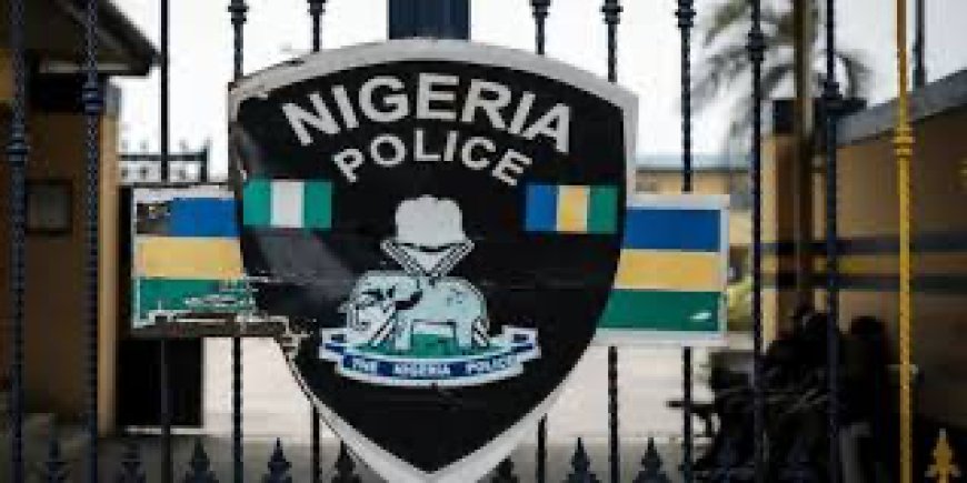 Missing' of 8 Fulani Herdsmen In Enugu Community : Lagos Lawyer, Frank Agbedo Lampoon's Police Over Murder Allegations Against LG Boss