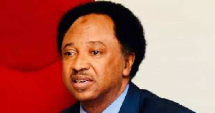 Plot To Damage Your Reputation As Shehu Sani Tells Tinubu To Reject Wike's