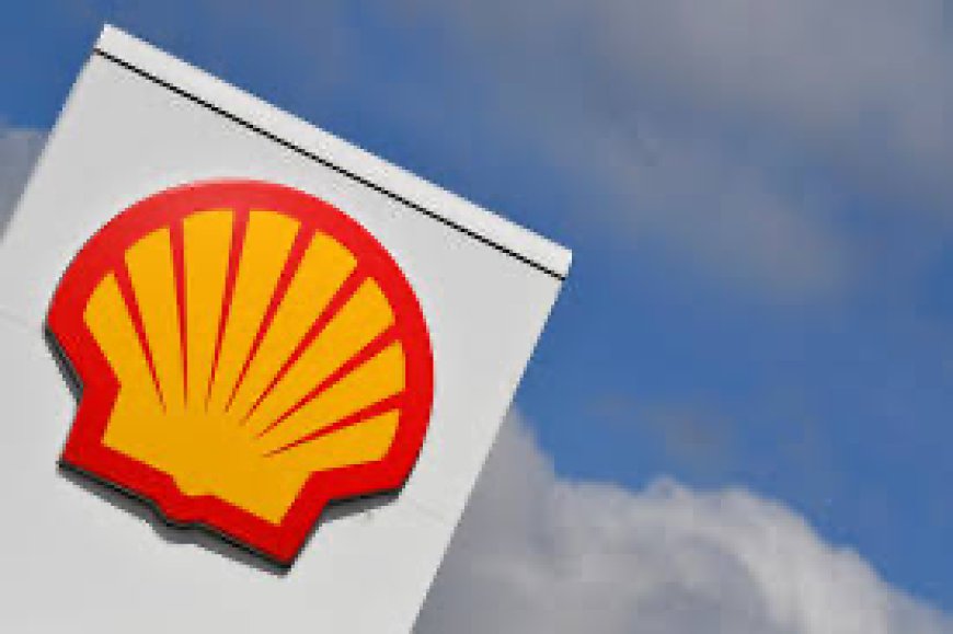 Shell To Add About 12 Million Tons LNG Capacity in Nigeria, Others By 2030