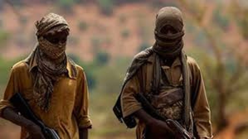Lakurawa terrorists slit children’s necks like animals in fresh Benue attacks