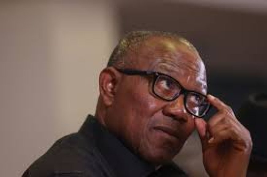 Peter Obi blames leadership failure for Benue killings