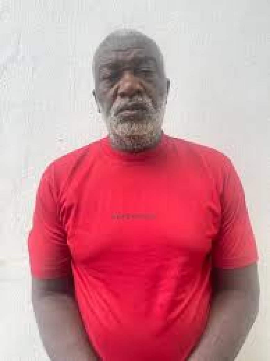 Court Jails Man Seven Years for N11.4m Land Fraud in Enugu