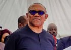 Middle Belt Forum Expresses Support For Peter Obi Over 2027: Presidential Ambition