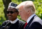 "So Many Nigerian Words! Where Did Those Come From?" As President Trump Meets Prof Ugwuanyị