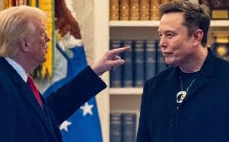 Trump considers deporting Musk as feud reignites